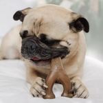 Pug dog chewing on a brown bone-shaped toy with a blurred background