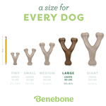 Dog chew toy sizes with a pencil for scale and Benebone branding.