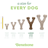 Dog chew toy sizes with a pencil for scale and Benebone branding.