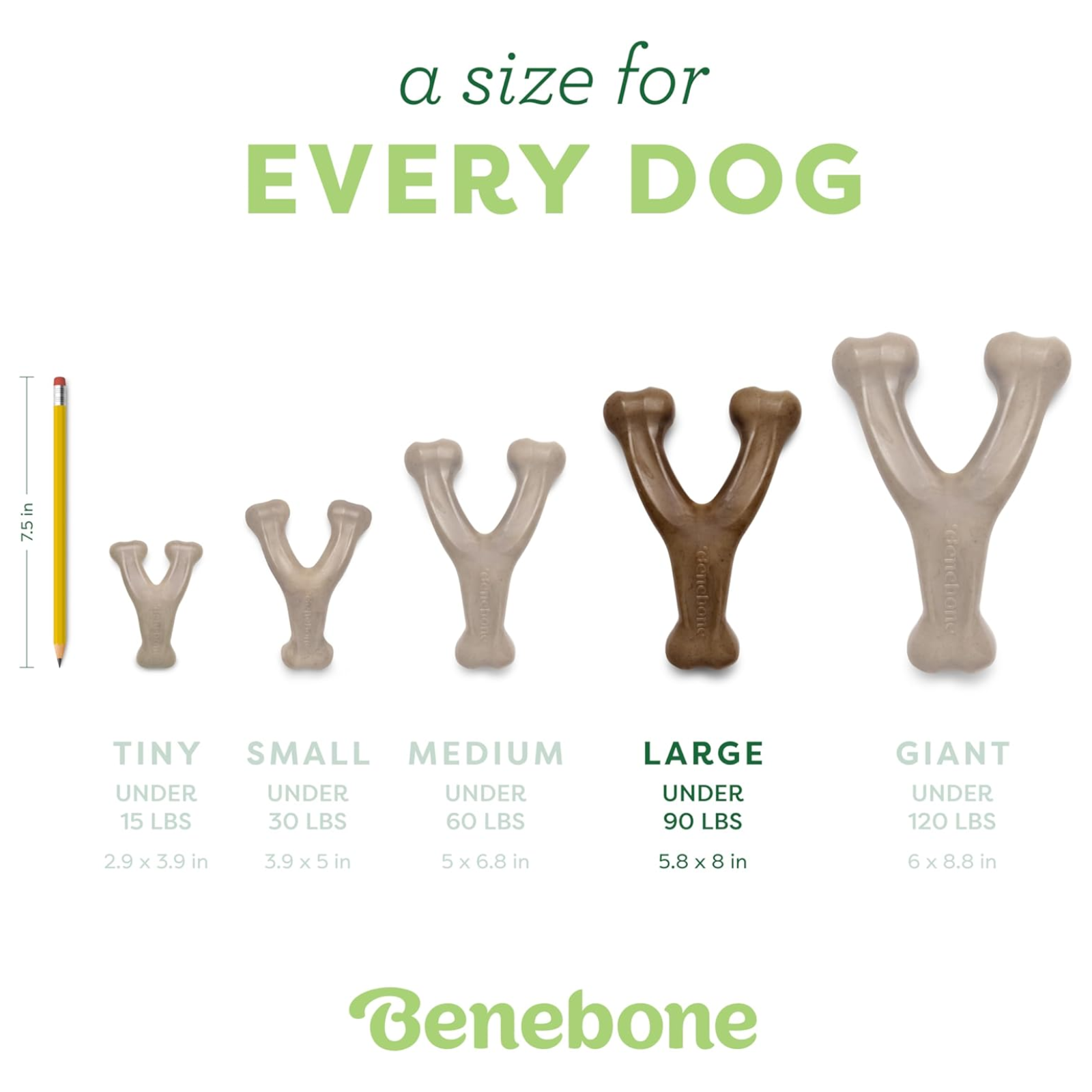 Dog chew toy sizes with a pencil for scale and Benebone branding.