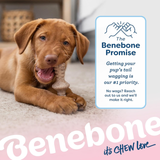 Dog chewing on a Benebone product with the brand's promise displayed.