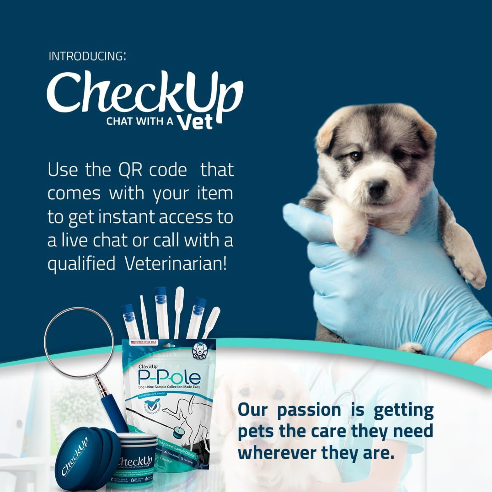 Advertisement for CheckUp veterinary service with a puppy and medical tools on a blue background