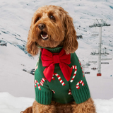 Foggy Dog Cranberry Velvet Lady Dog Bow