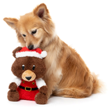 FuzzYard Santa Fuzz Bear Dog Toy