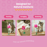 Giddy Kitty Springy Flower Cat Treat Toy Jelly Beans
