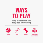 Promotional graphic with the title 'WAYS TO PLAY' in large pink text, followed by smaller black text reading 'Long braided neck and body ideal for thrashing.' Below, four pink icons with labels show usage ideas: Fetch, Tug, Chew, and Use under supervision.