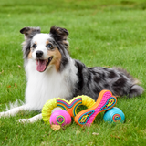 A black and white Australian Shepherd dog lies on green grass with a set of colorful dog toys in front of it.