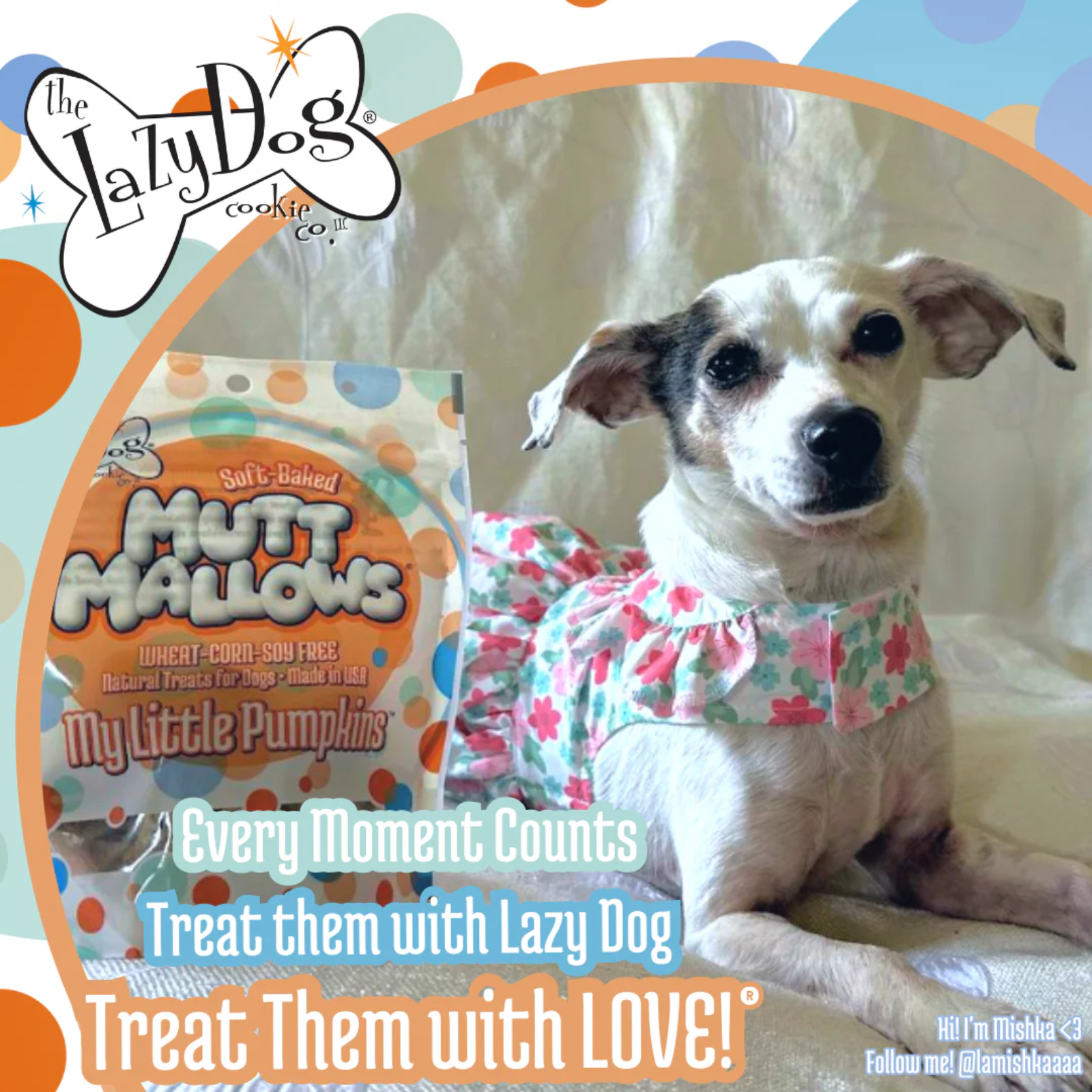 Bag of Muttillows dog treats with colorful design
