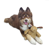 Petlou Classic Dog 9in