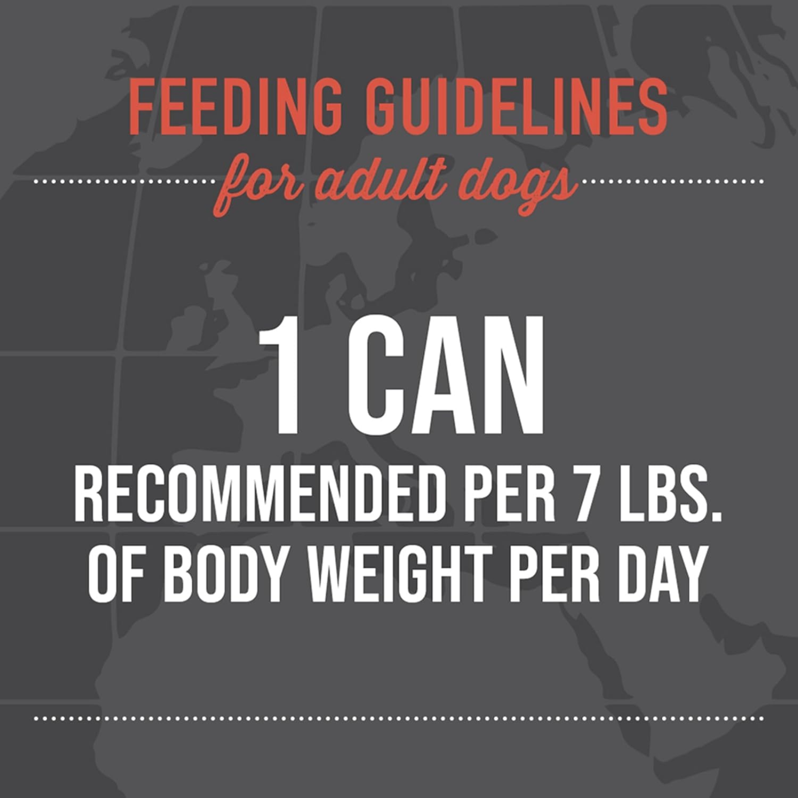 Feeding guidelines for adult dogs displayed on a dark background with blurred dog images.