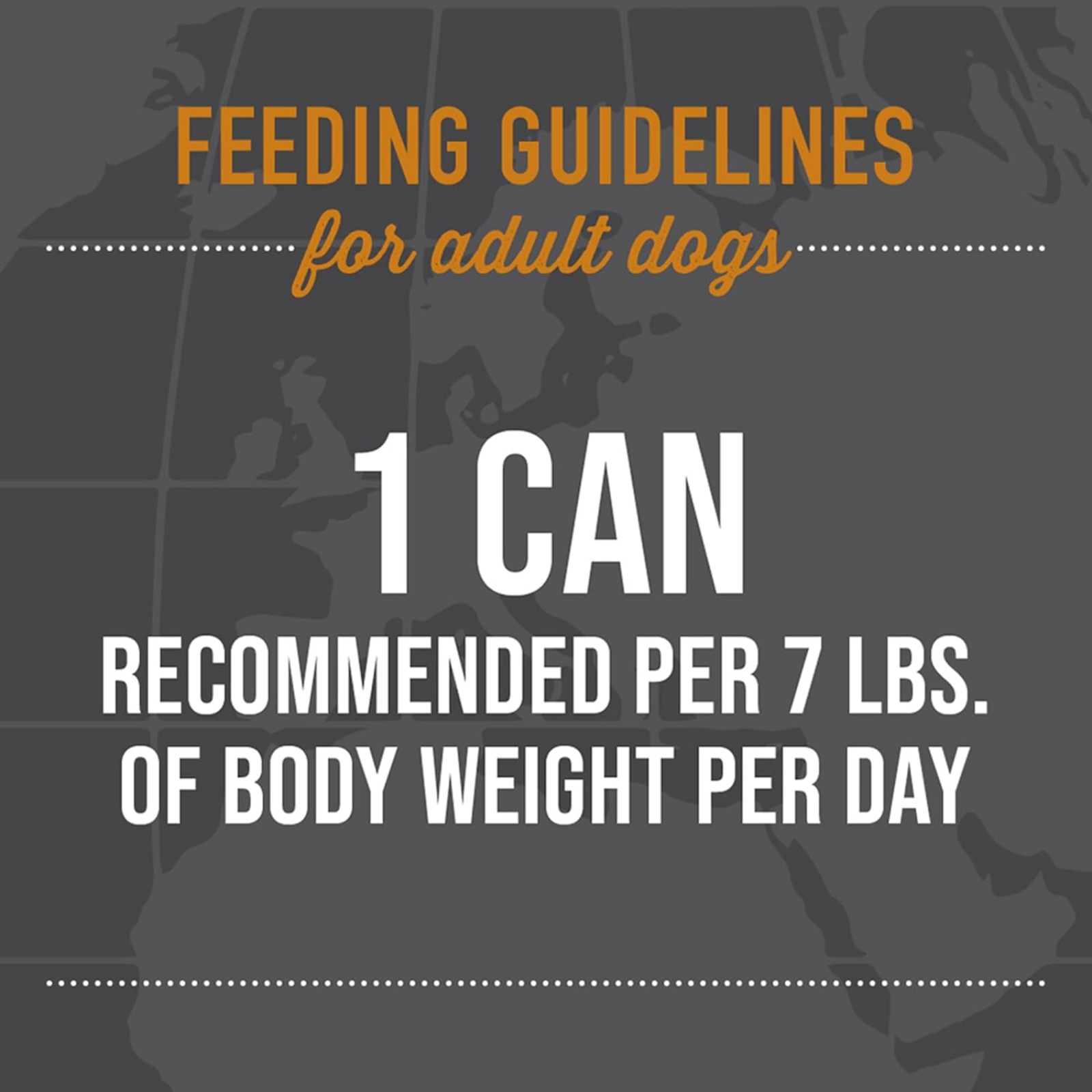Feeding guidelines for adult dogs displayed on a dark background with silhouettes of dogs.
