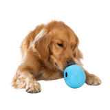 West Paw Rumbl Small