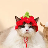 Crochet Knit Cat Hat
