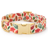 Dog collar with autumn leaf pattern and gold buckle on a white background