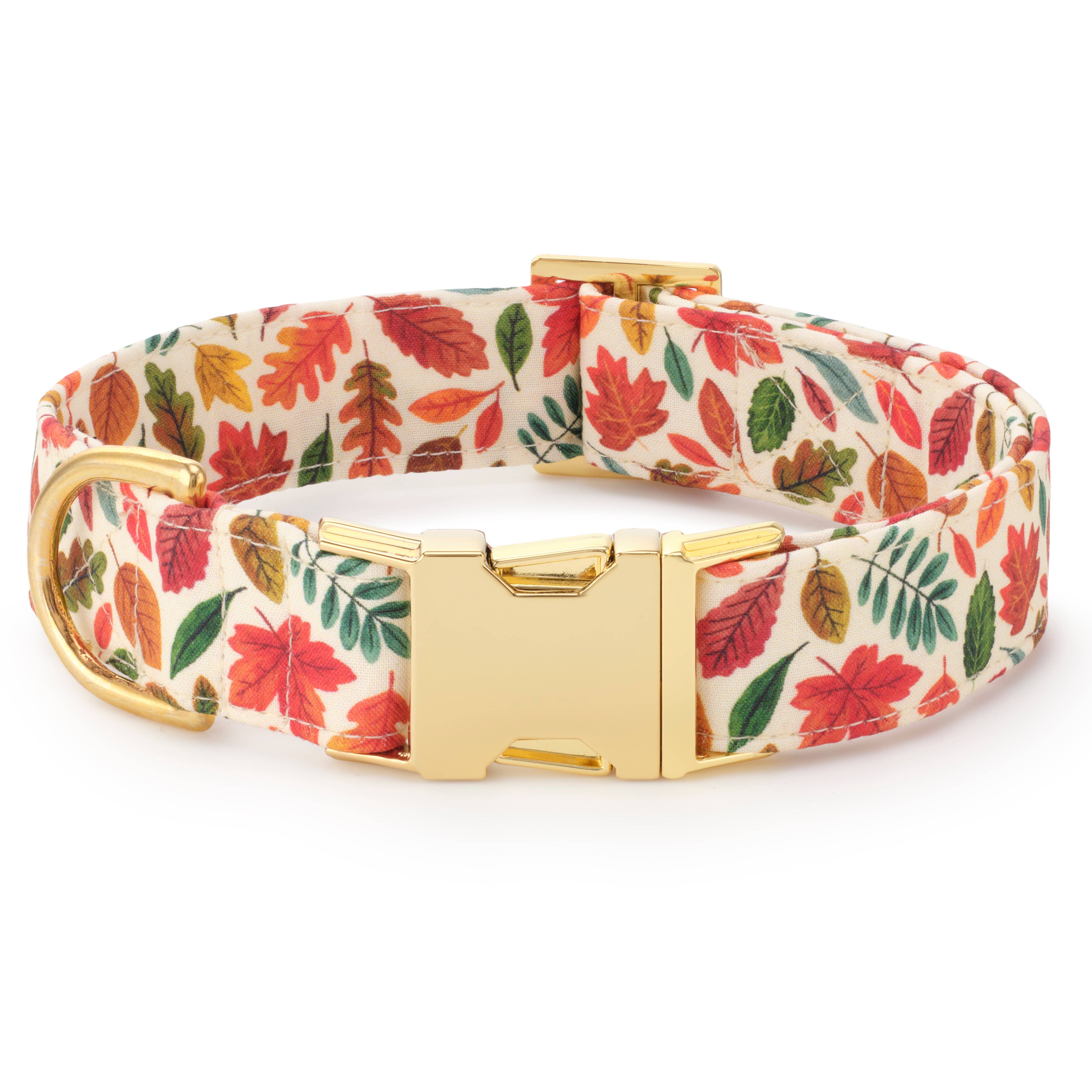 Dog collar with autumn leaf pattern and gold buckle on a white background