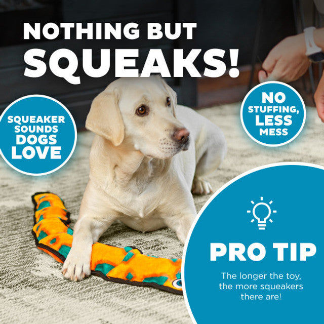 Dog playing with a squeaky toy with promotional text about the product's features.