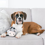 Boxer dog lying on a couch with a cow toy