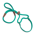 A teal green braided rope dog leash with brown leather loop accents and brass hardware, laid out on a clean white background.