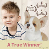 Lil Frenchie The French Bulldog 6in