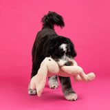 Fringe Hoppy To See You Plush Dog Toy