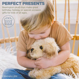 Goldie The Golden Retriever