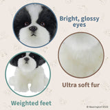 Butch The Havanese 13in