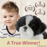 Butch The Havanese 13in