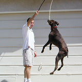 Man playing fetch with a dog on a staircase