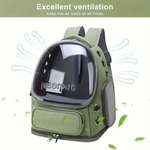 Green pet carrier with transparent front panel on a white background, featuring the brand 'moorpet'.