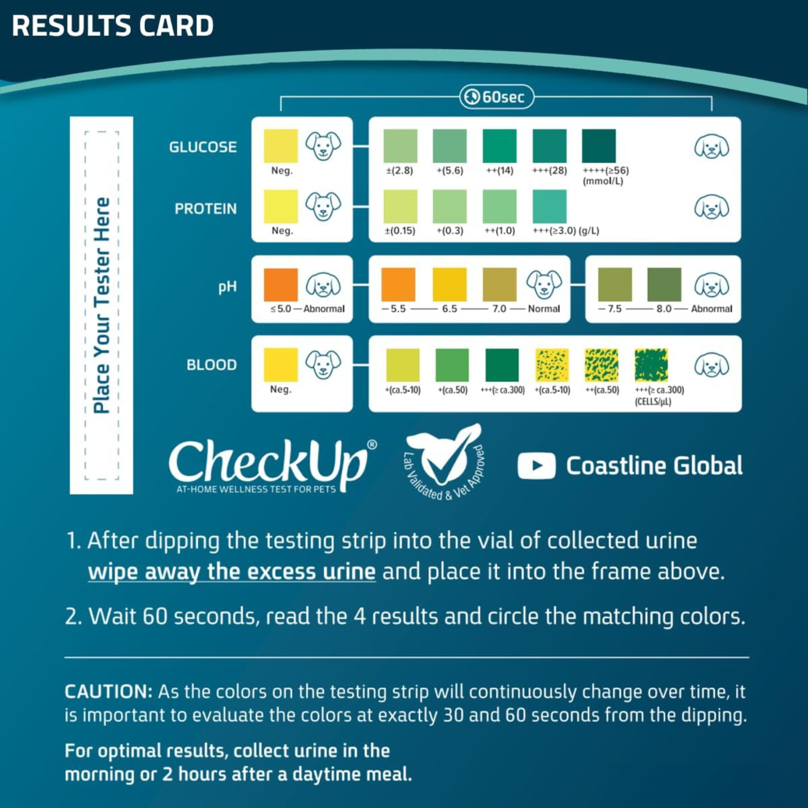 CheckUp home wellness test card with color chart and instructions on a blue background
