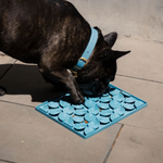 Dog sniffing a blue mat on a concrete surface