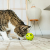 Giddy Kitty Purrkleball Cat Treat Ball