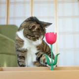 Giddy Kitty Springy Flower Cat Treat Toy Jelly Beans
