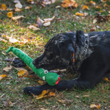 HuggleHounds Year of the Lucky Snake
