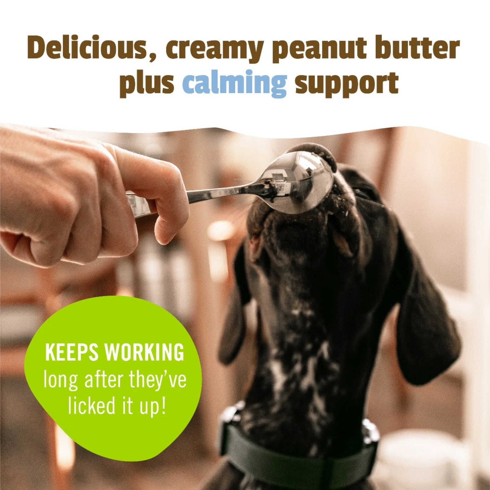 Person feeding a dog peanut butter with text about its benefits