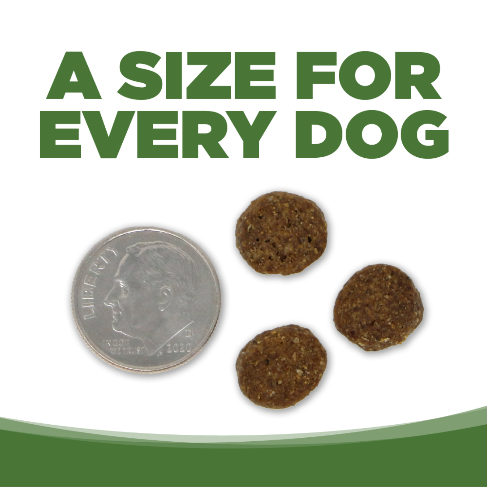 Dog treats next to a quarter with text 'A size for every dog' on a white background
