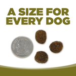 Dog food pellets next to a quarter on a white background with text 'A Size for Every Dog'.