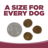 Dog treats next to a quarter on a white background with text 'A Size for Every Dog'.