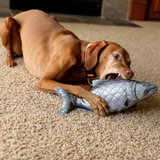ROCT King Salmon Crinkle & Squeaker Dog Toy