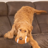ThoozyPet Football Plush Dog Toy