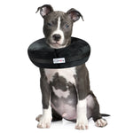 Puppy wearing a black cone-shaped collar on a white background