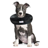 Puppy wearing a black cone-shaped collar on a white background