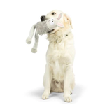 Dog playing with a plush toy on a white background