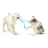 Two dogs, a golden retriever and an Australian shepherd, tug-of-war with a light blue knotted rope dog toy on a white studio background.