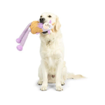 Dog holding a plush toy with a purple handle and bear face on a white background