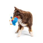 Dog playing with a blue and yellow toy on a white background