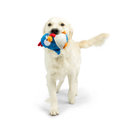 Dog holding a colorful bird-shaped toy in its mouth on a white background