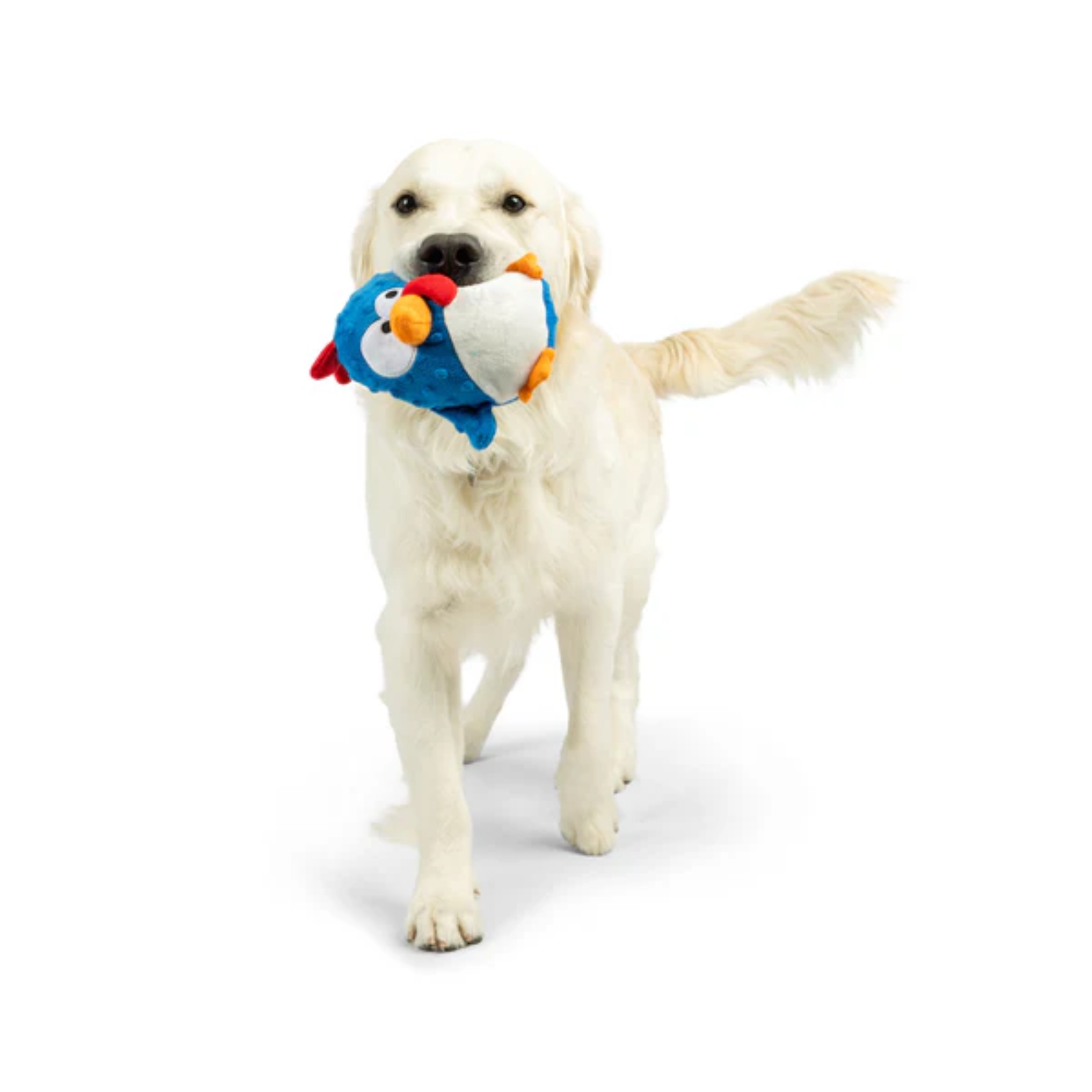 Dog holding a colorful bird-shaped toy in its mouth on a white background