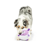 Dog playing with a purple plush toy on a white background