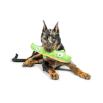 Dog playing with a green toy on a white background